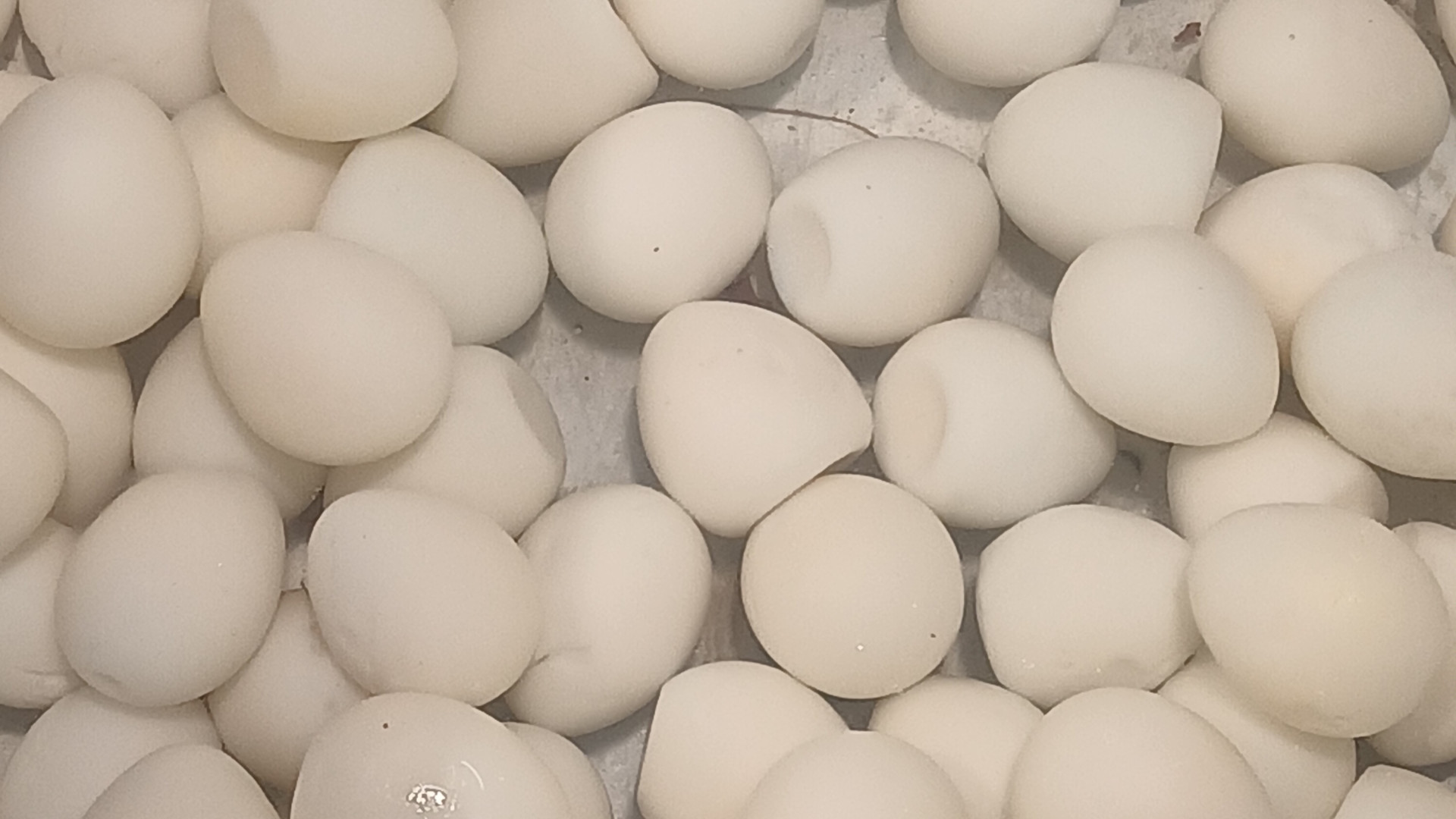 File:Hard-boiled quail eggs.jpg