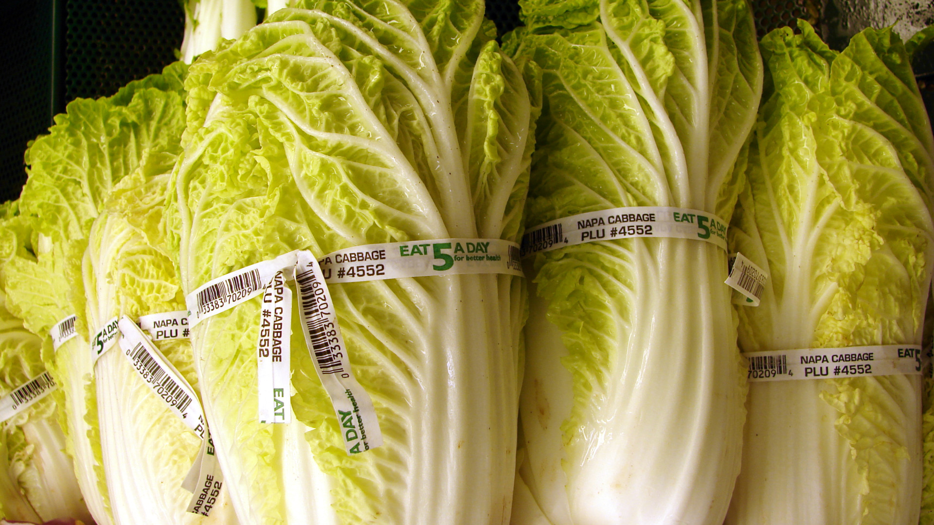 File:Starr 070730-7855 Brassica rapa.jpg