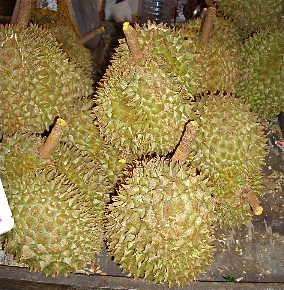 File:Durian (Durio zibethinus).jpg