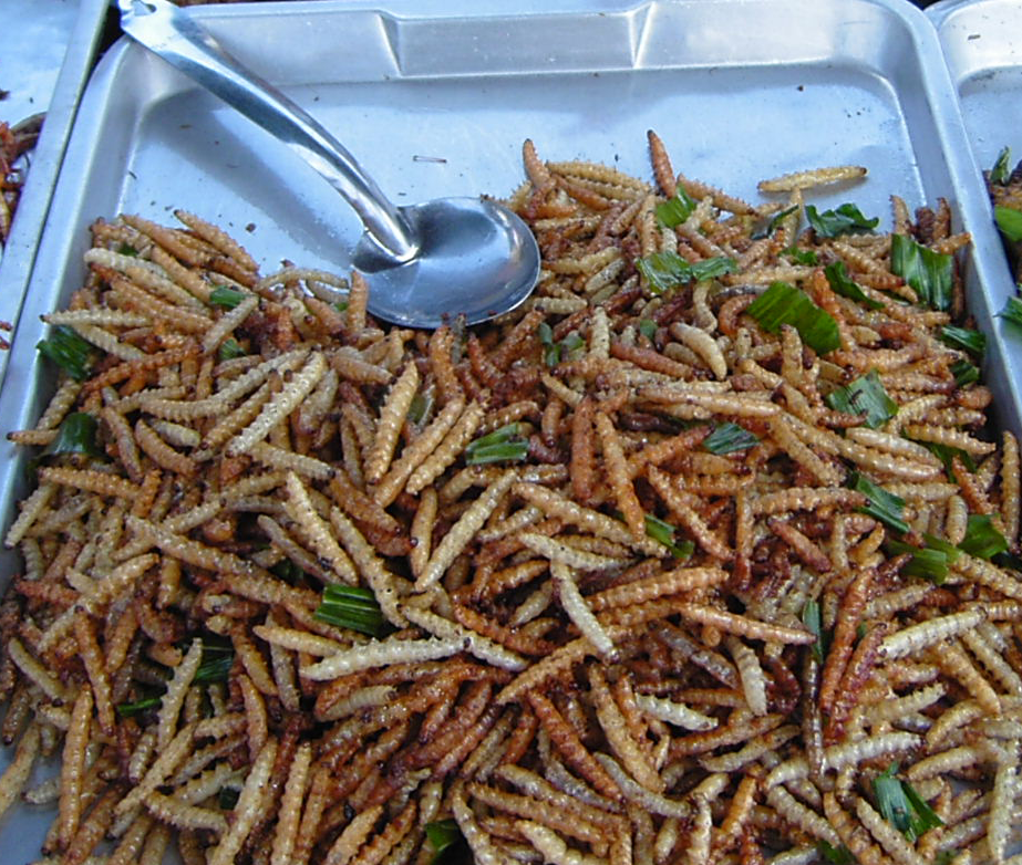 File:Bamboo worms on plate.png
