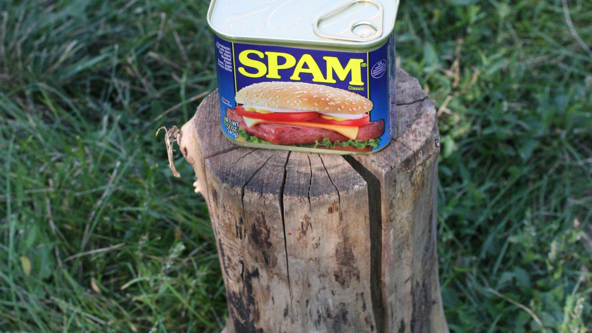File:Can of Spam on a log.jpg
