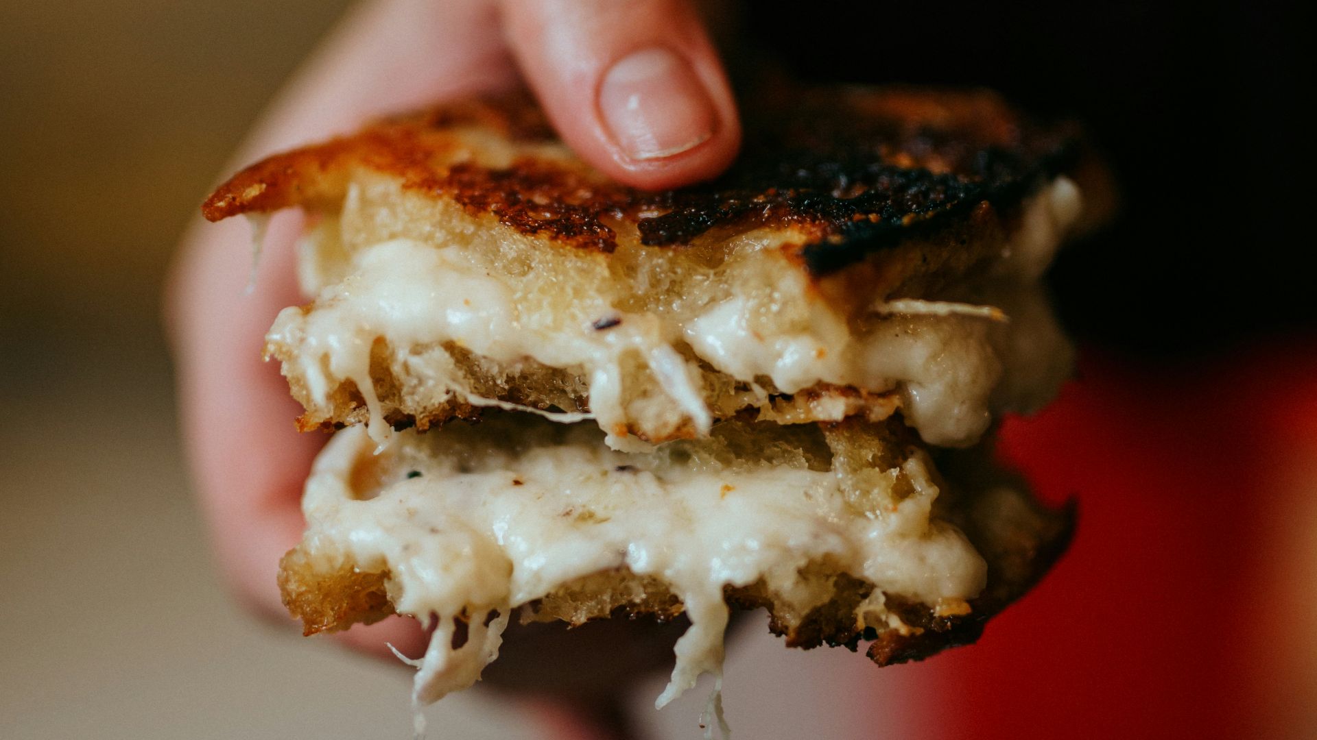 person holding brown and white bread