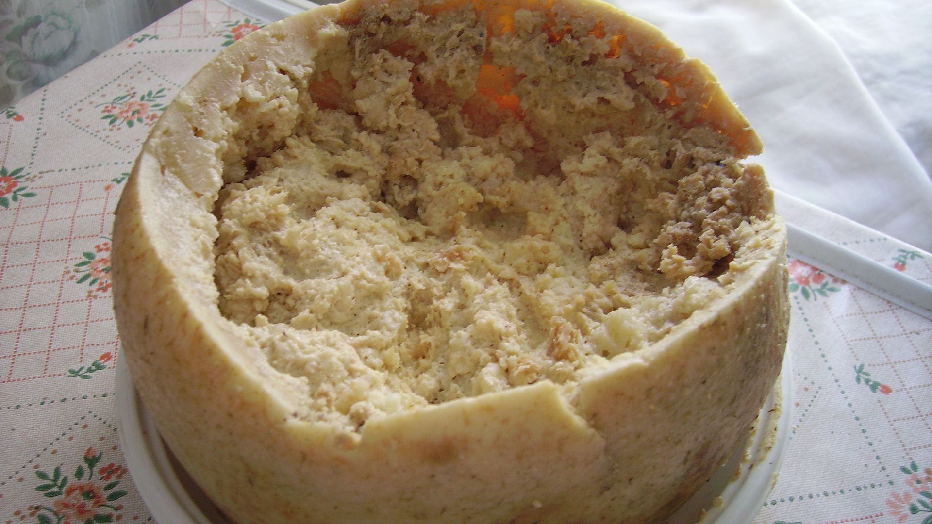 File:Casu Marzu cheese.jpg