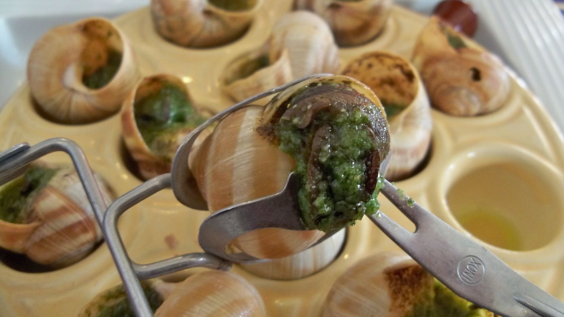 File:Escargots 3.jpg
