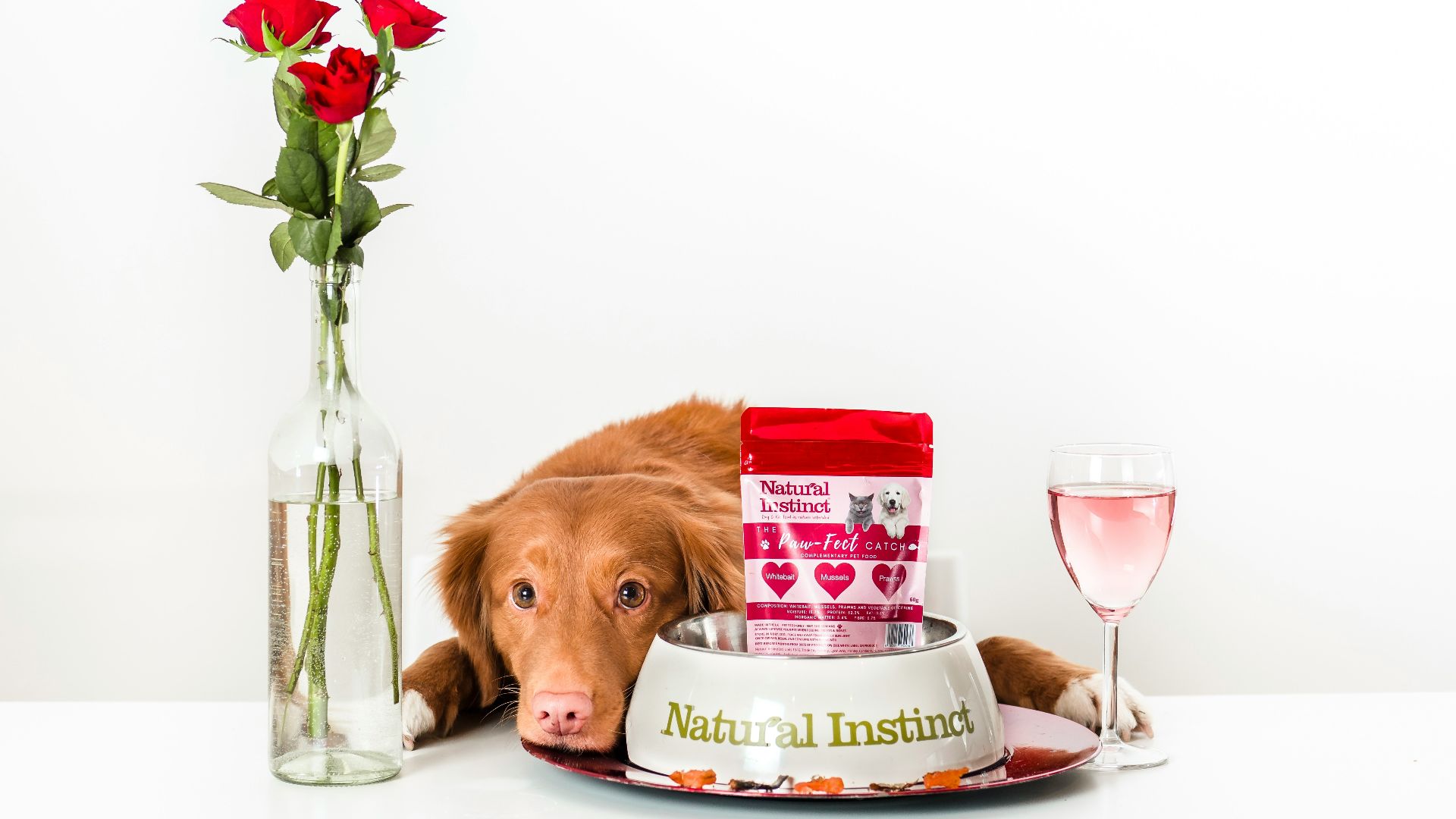 brown short coated dog on white ceramic plate beside clear glass vase