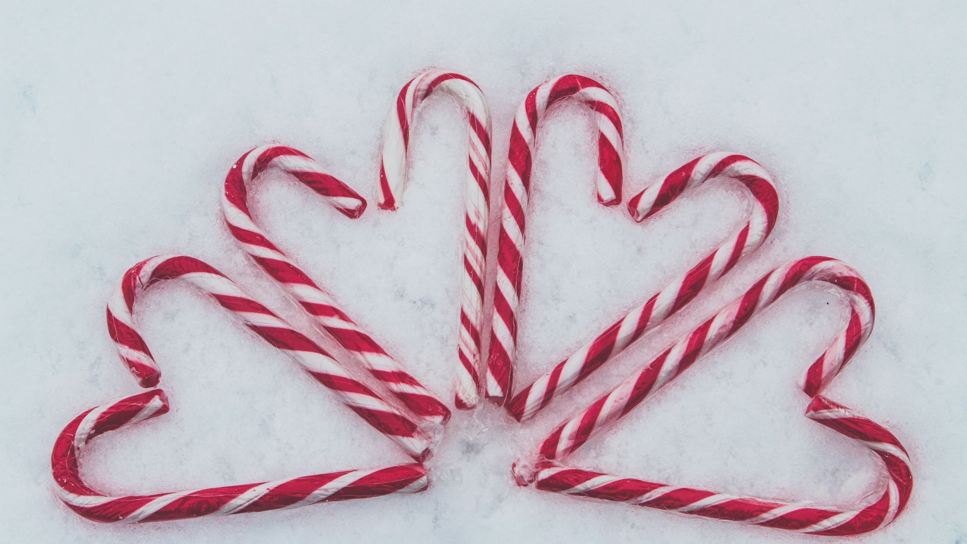 red-and-white candy cane lot