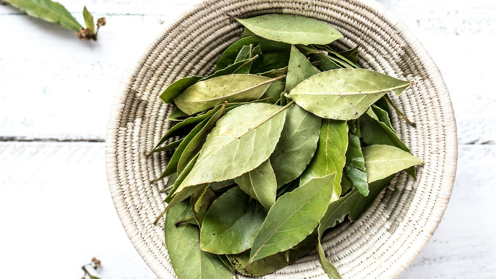 green leaves inside a bowl with ball of string beside