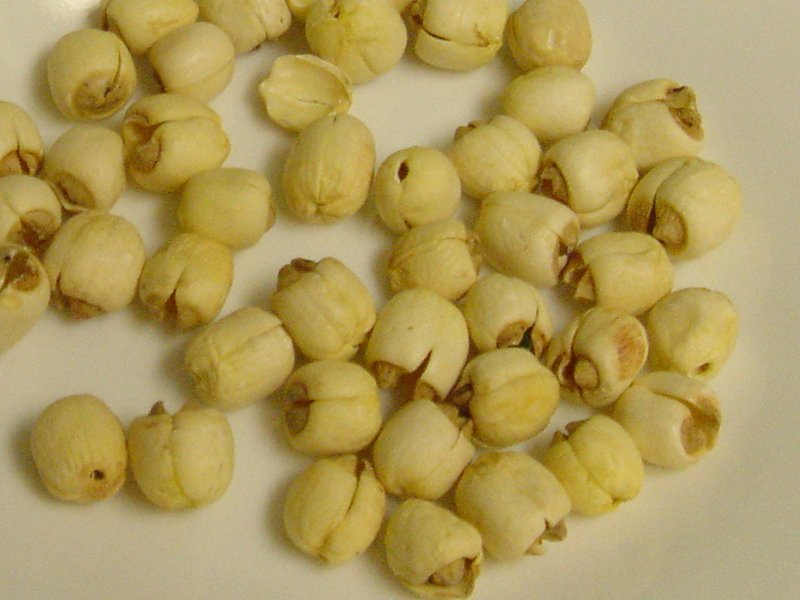 Driedlotusseeds