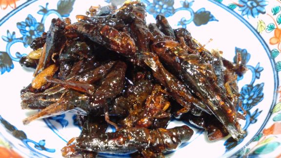 Inago No Tsukudani 02