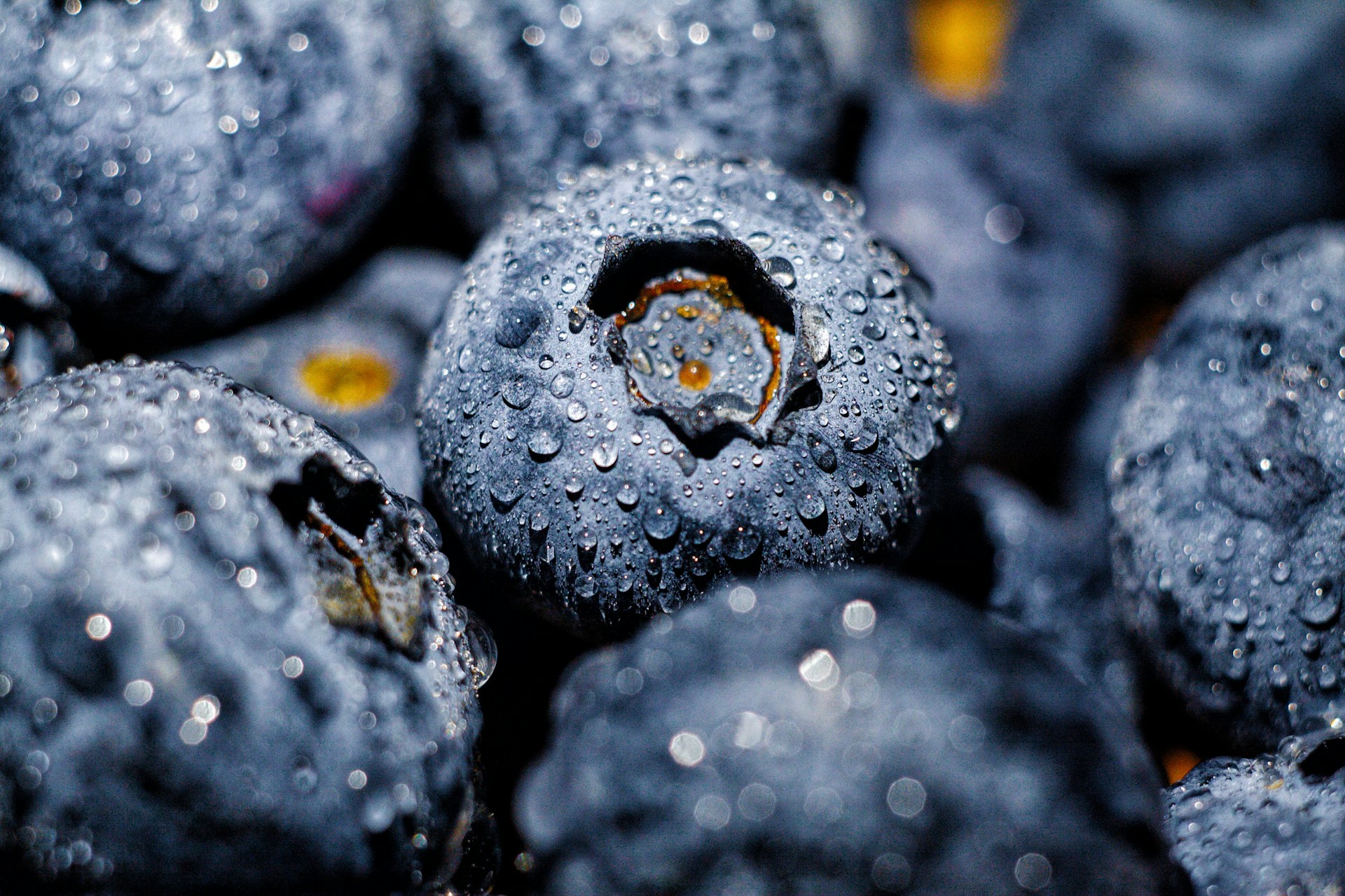 Dina-Nasyrova-Nc5M3Jn8 40-Unsplash