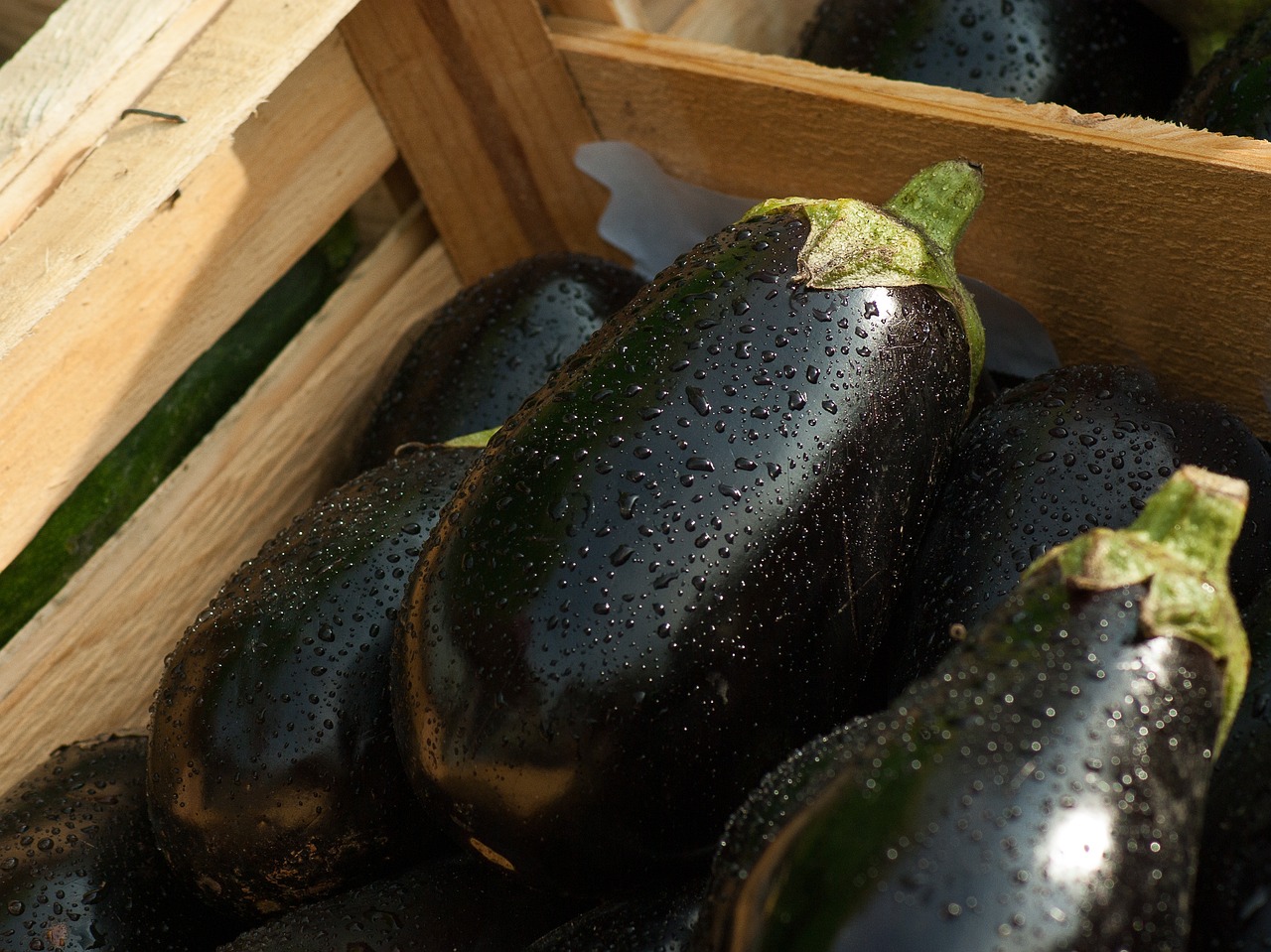 Eggplants-1707629 1280