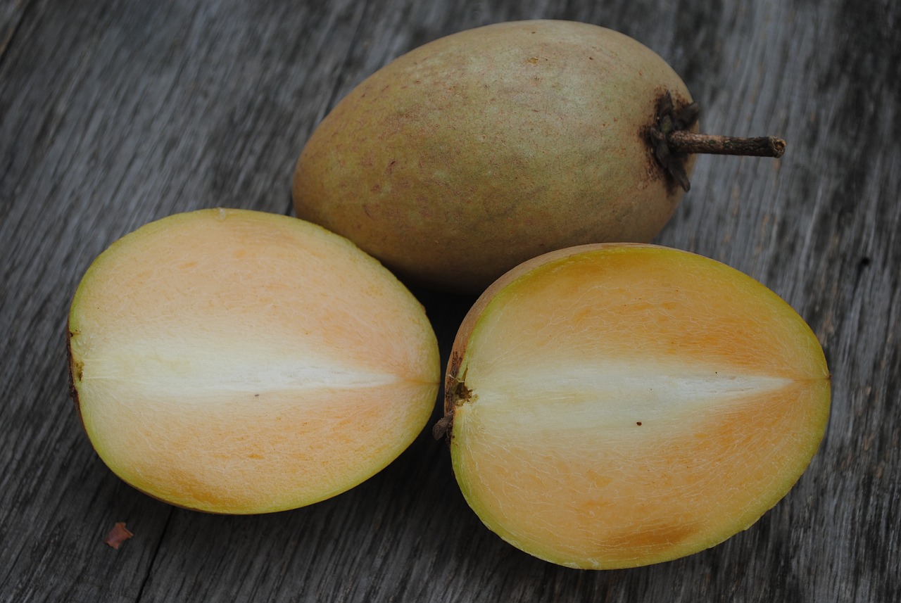Sapodilla-6834188 1280