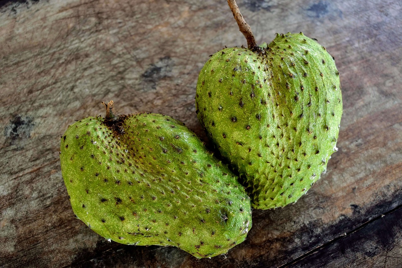 Soursop-6782765 1280