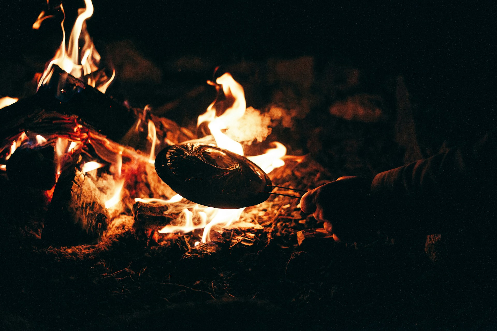 James-Fitzgerald-Kttwldlm8Sm-Unsplash