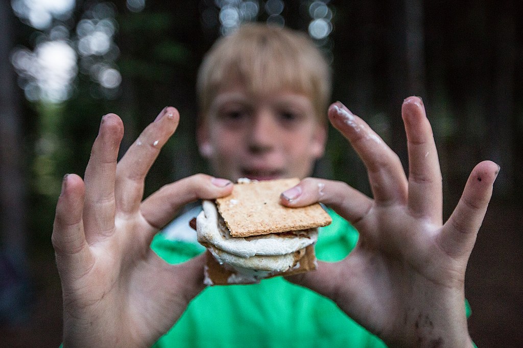 S'mores At Lewis Lake Campground (33668243581)