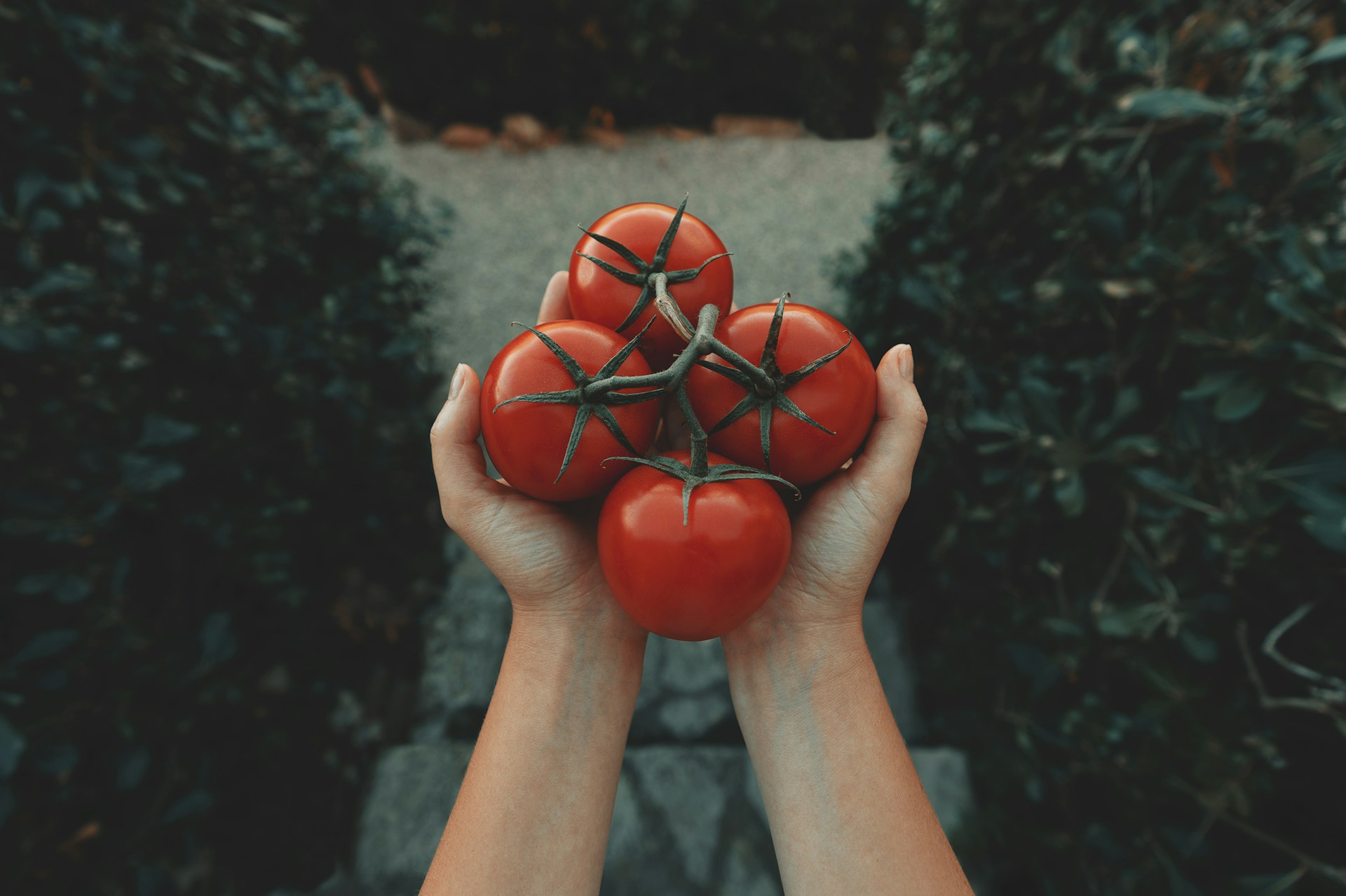 Clay-Banks-S-Hw64Ghwea-Unsplash
