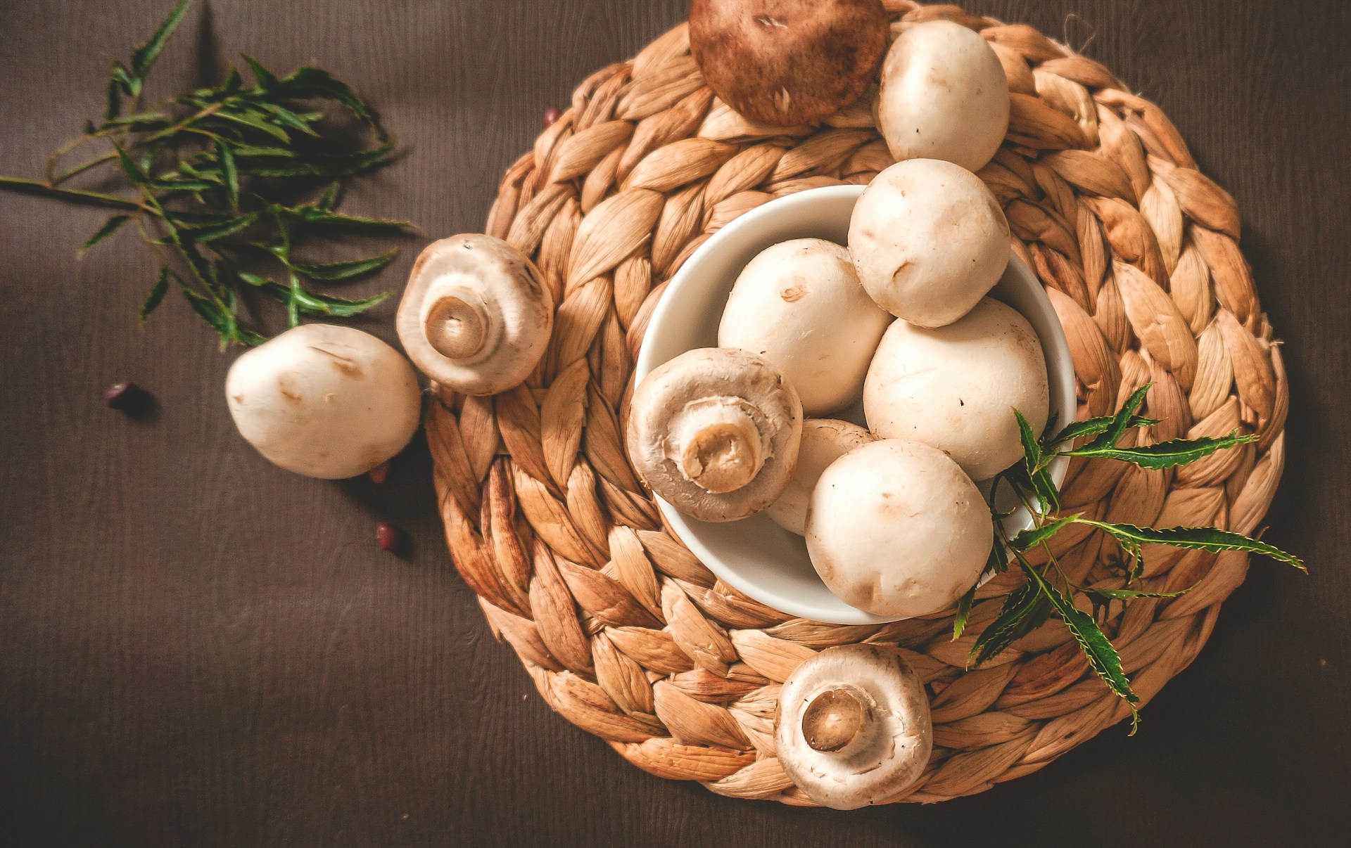 Thanh-Soledas-M-Pnm-Xafr4-Unsplash