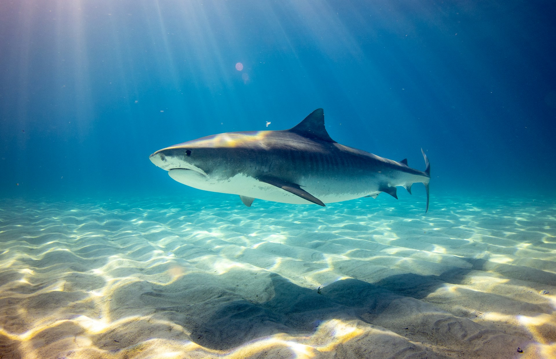 Gerald-Schombs-Gbdkr3K96De-Unsplash