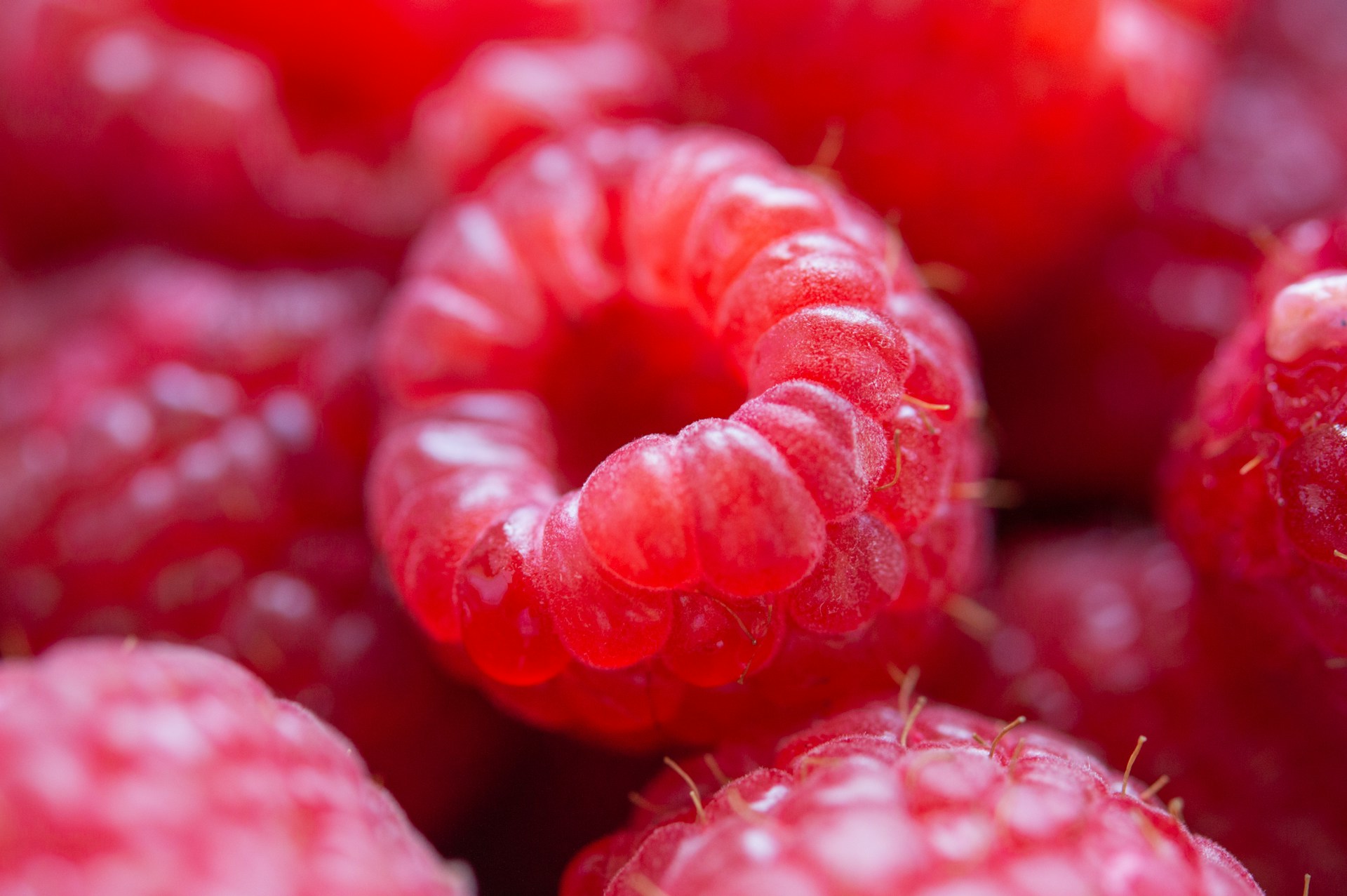 Bozhin-Karaivanov-3Hnvkfqzgtq-Unsplash