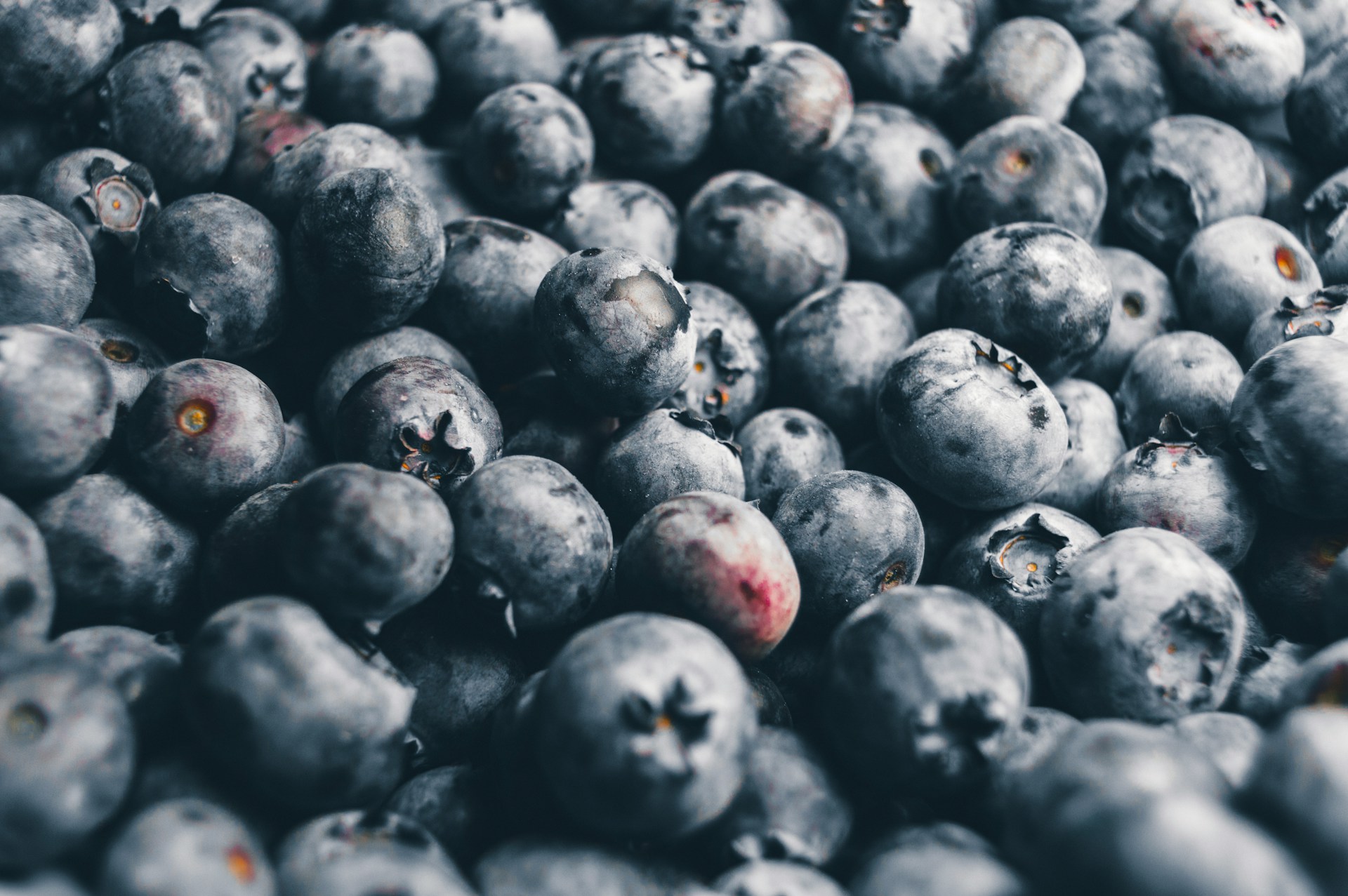 Bartlomiej-Jacak-Iceeanqk6Bq-Unsplash