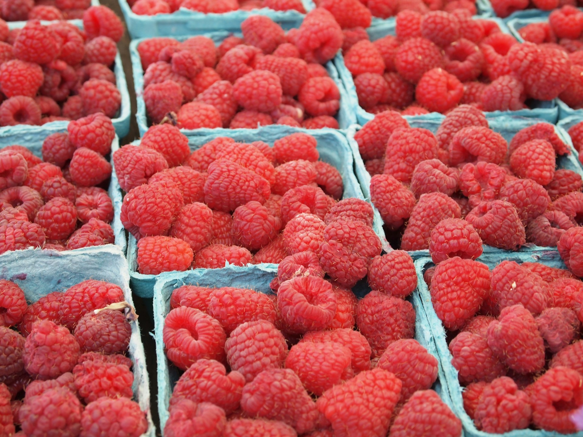 Lance-Grandahl-Napjvly6Lys-Unsplash