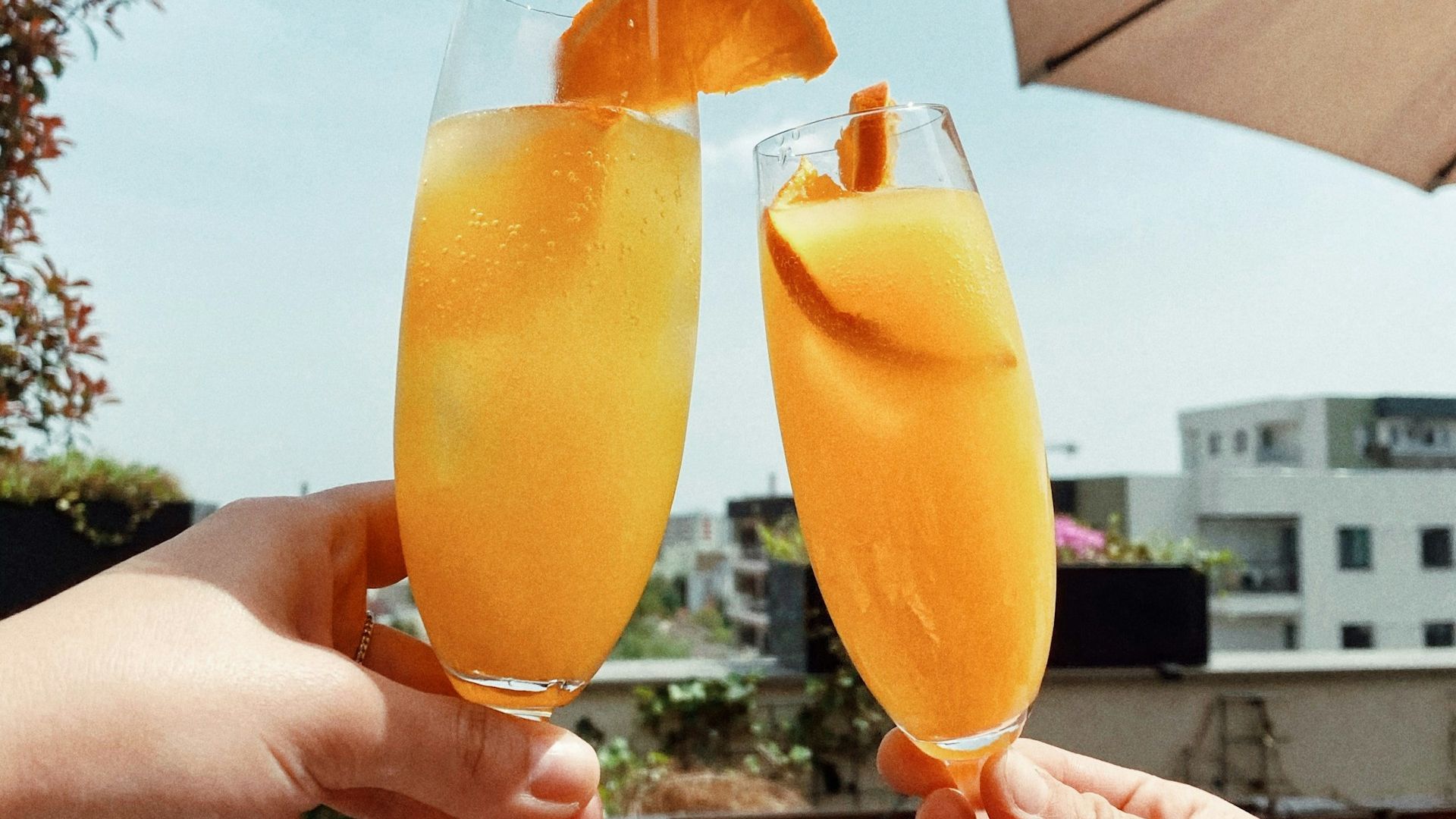 Mimosa