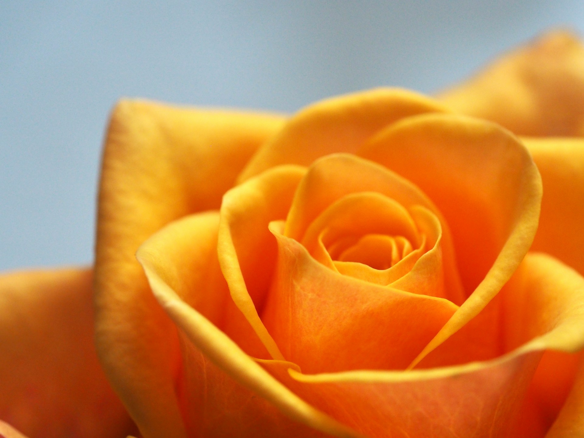 Jess-Bailey-Y7U07Pmyssg-Unsplash
