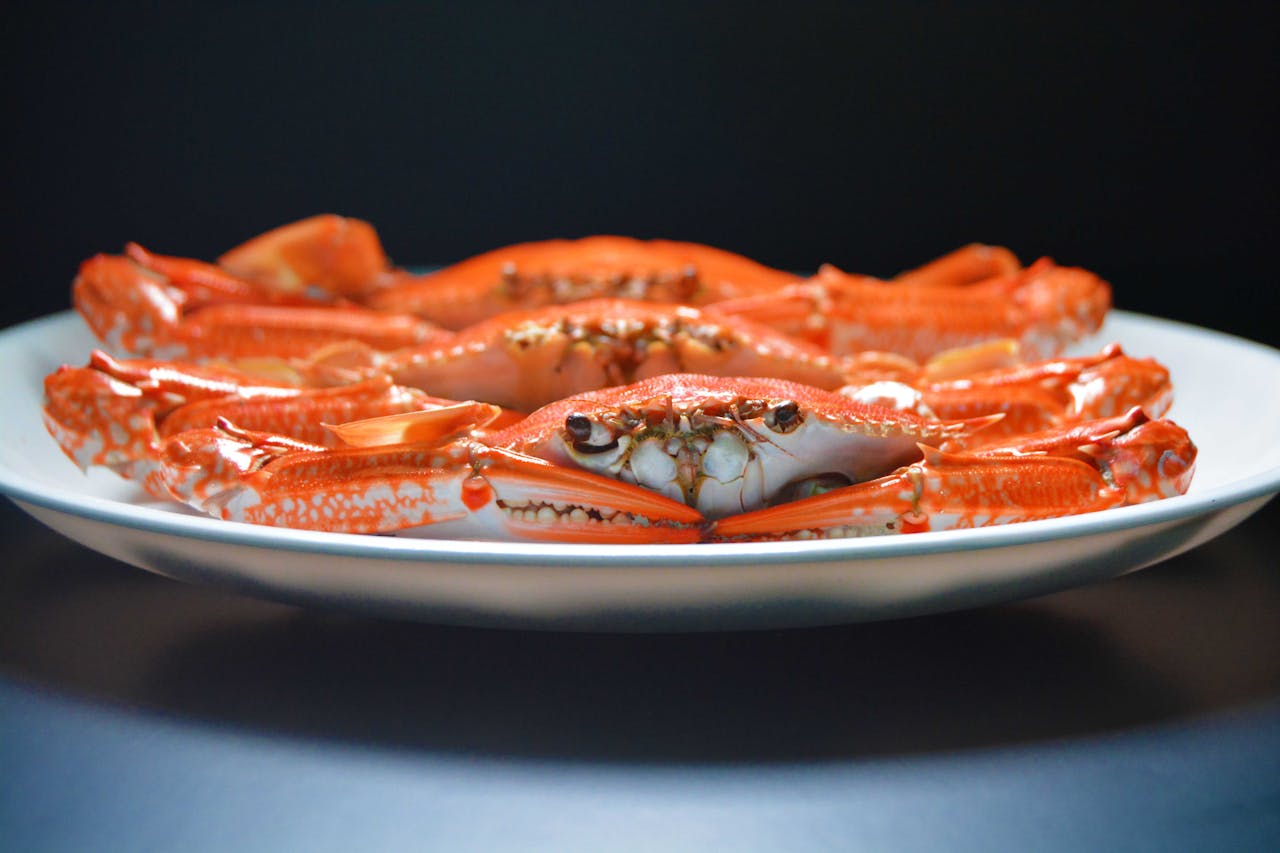Pexels-Jaradahfish-3640448