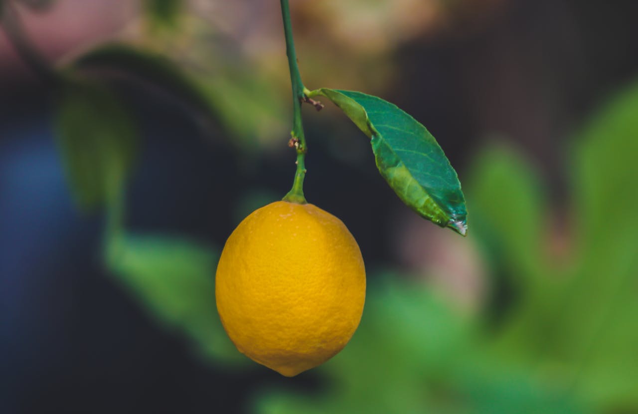 Pexels-Samerdaboul-1252815