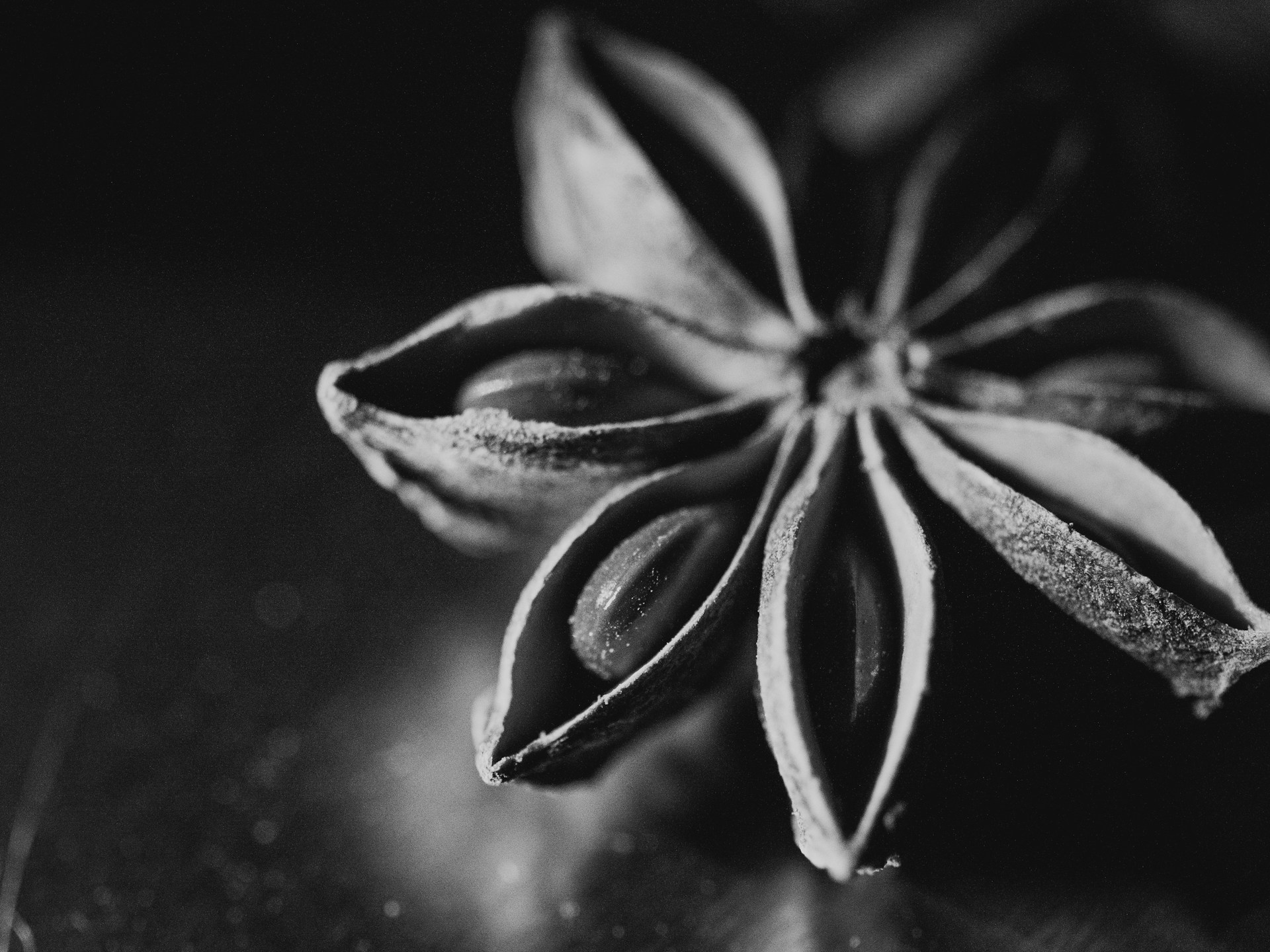 Sonny-Sixteen-Pmgq5Gtgd-Y-Unsplash