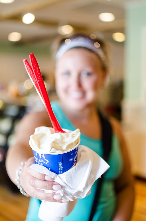 512Px-Dairy Queen Blizzard