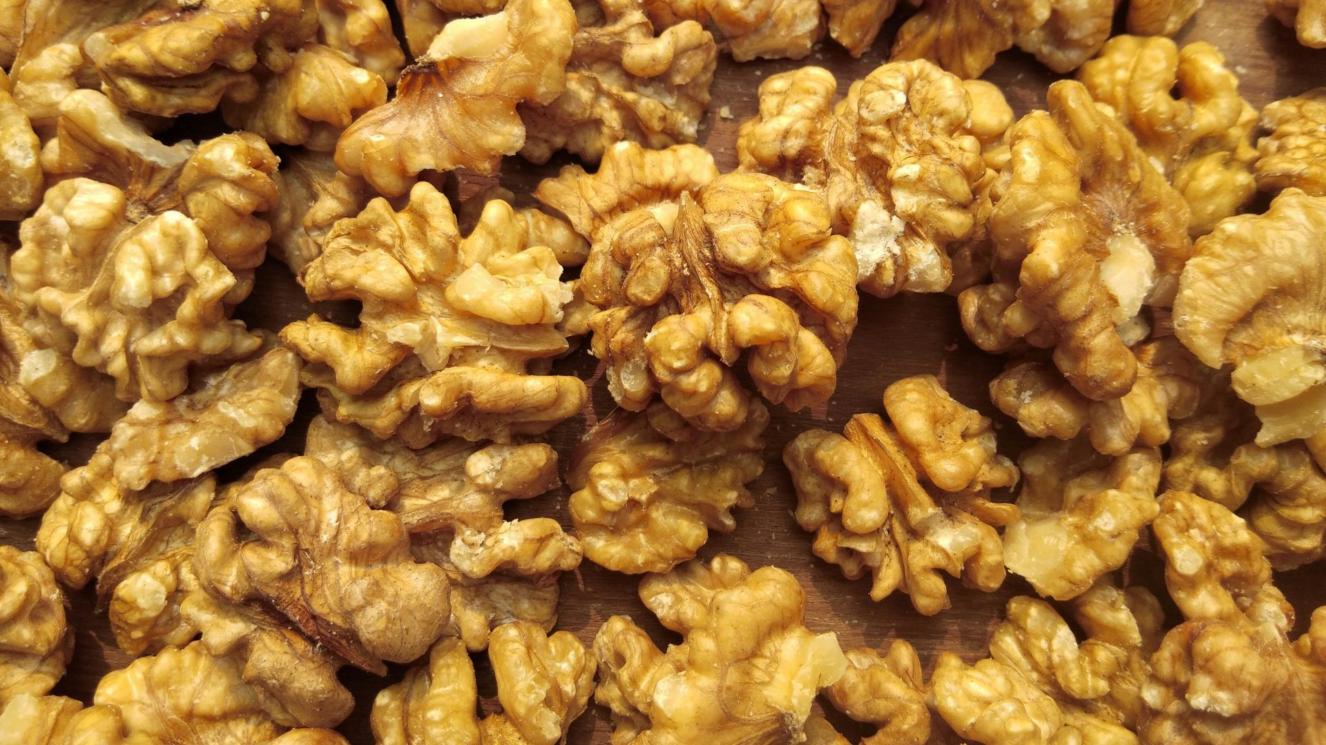 brown and white flower petals