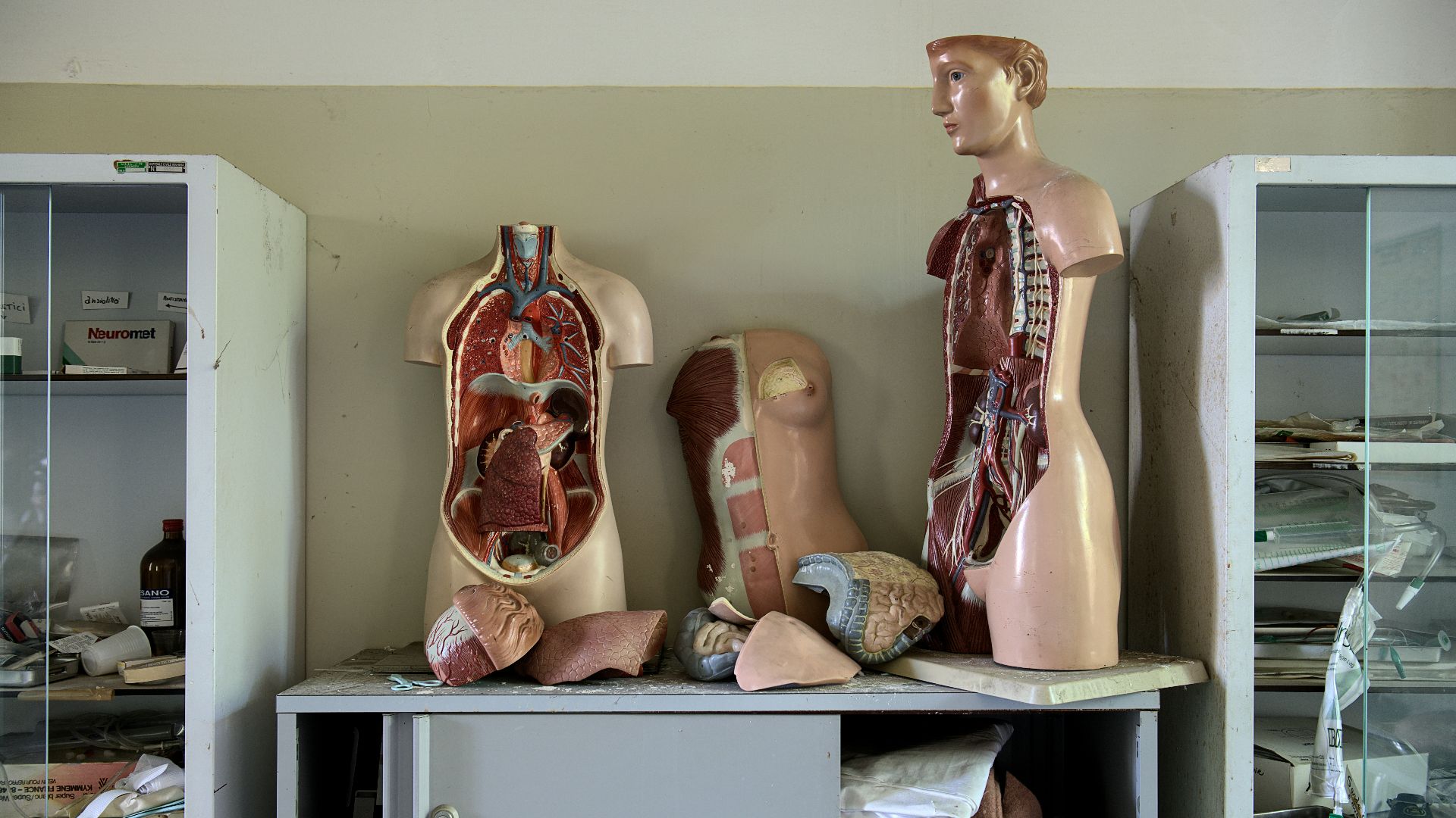 body anatomy mannequins on table