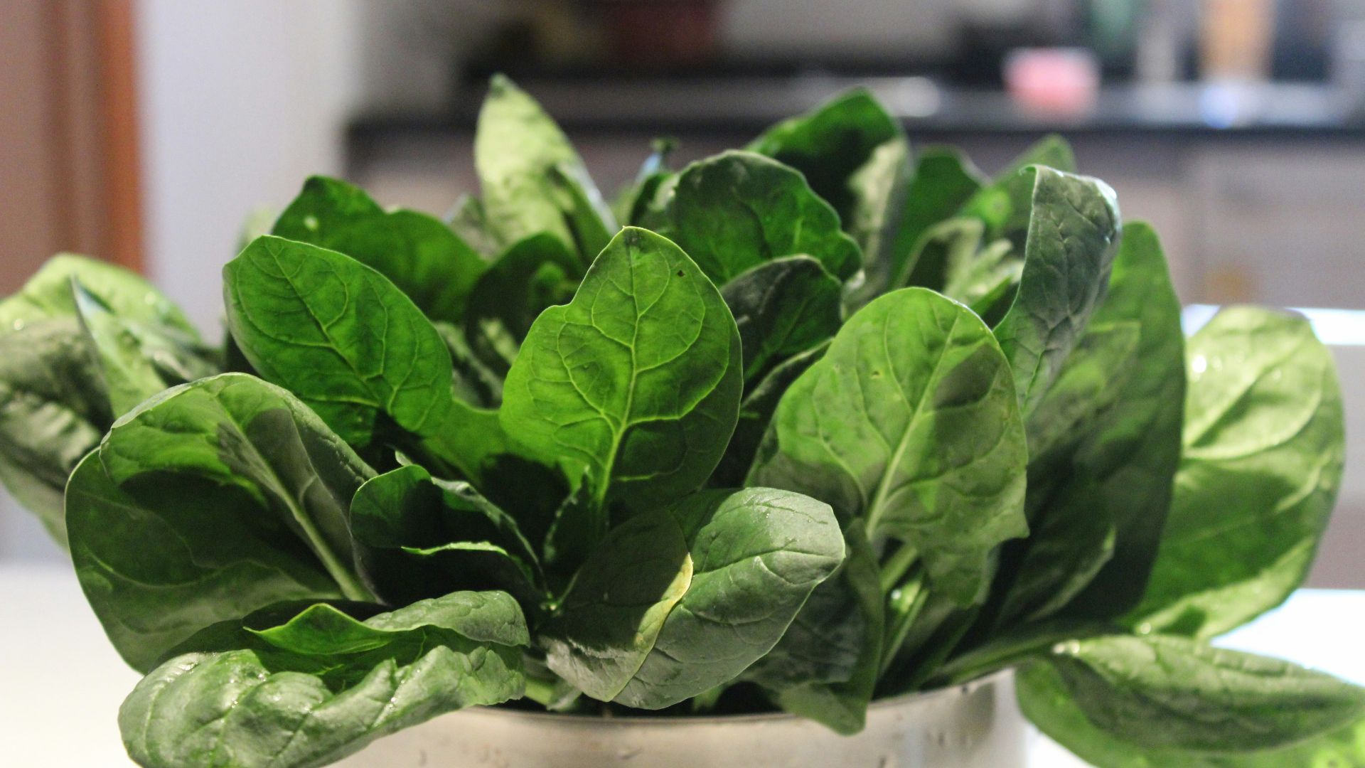 a close up of a potted plant on a table