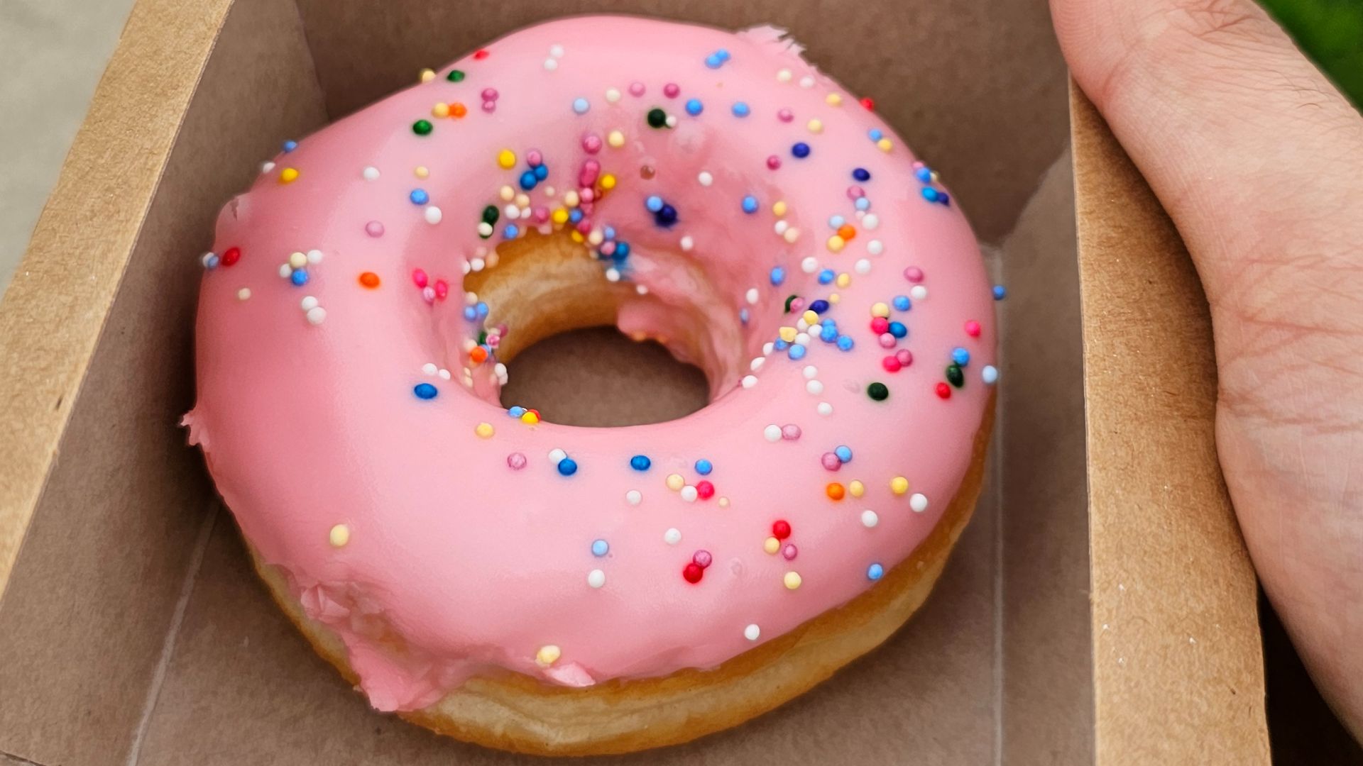 File:Tim Hortons doughnut.jpg