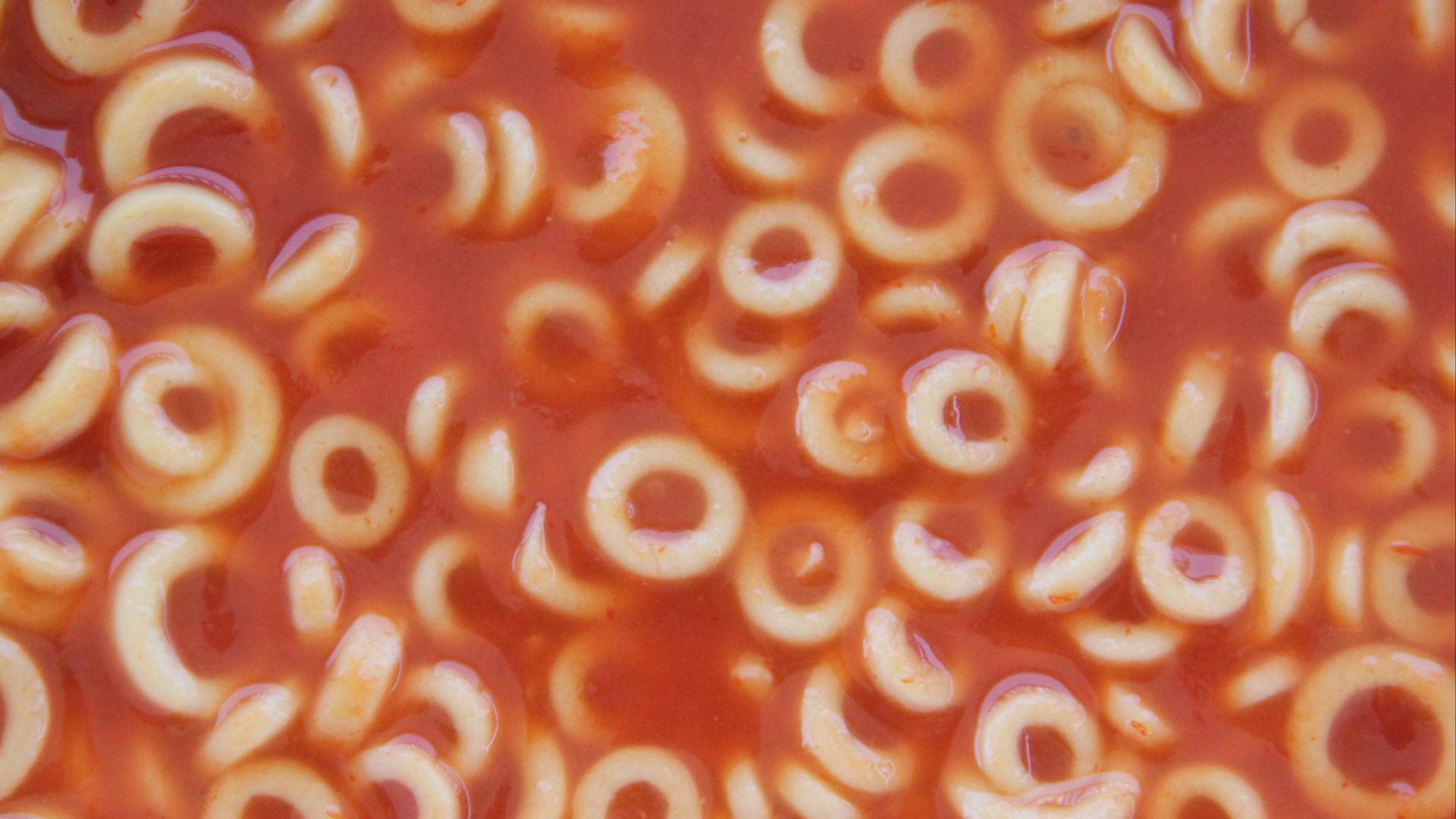 File:SpaghettiOs details.jpg