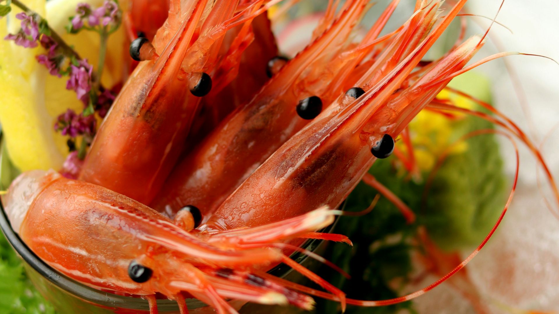 orange and green plant in green ceramic pot