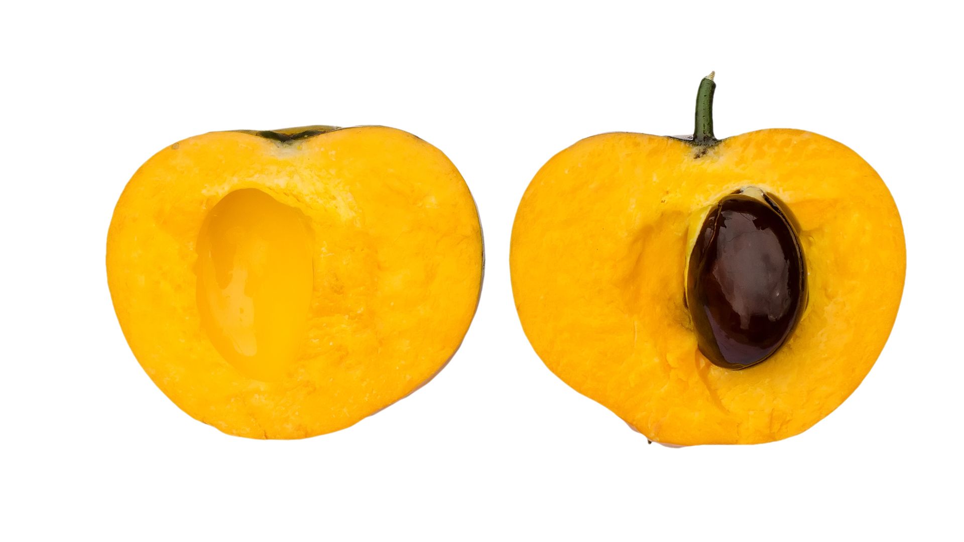 File:Egg fruit cross section DS.jpg