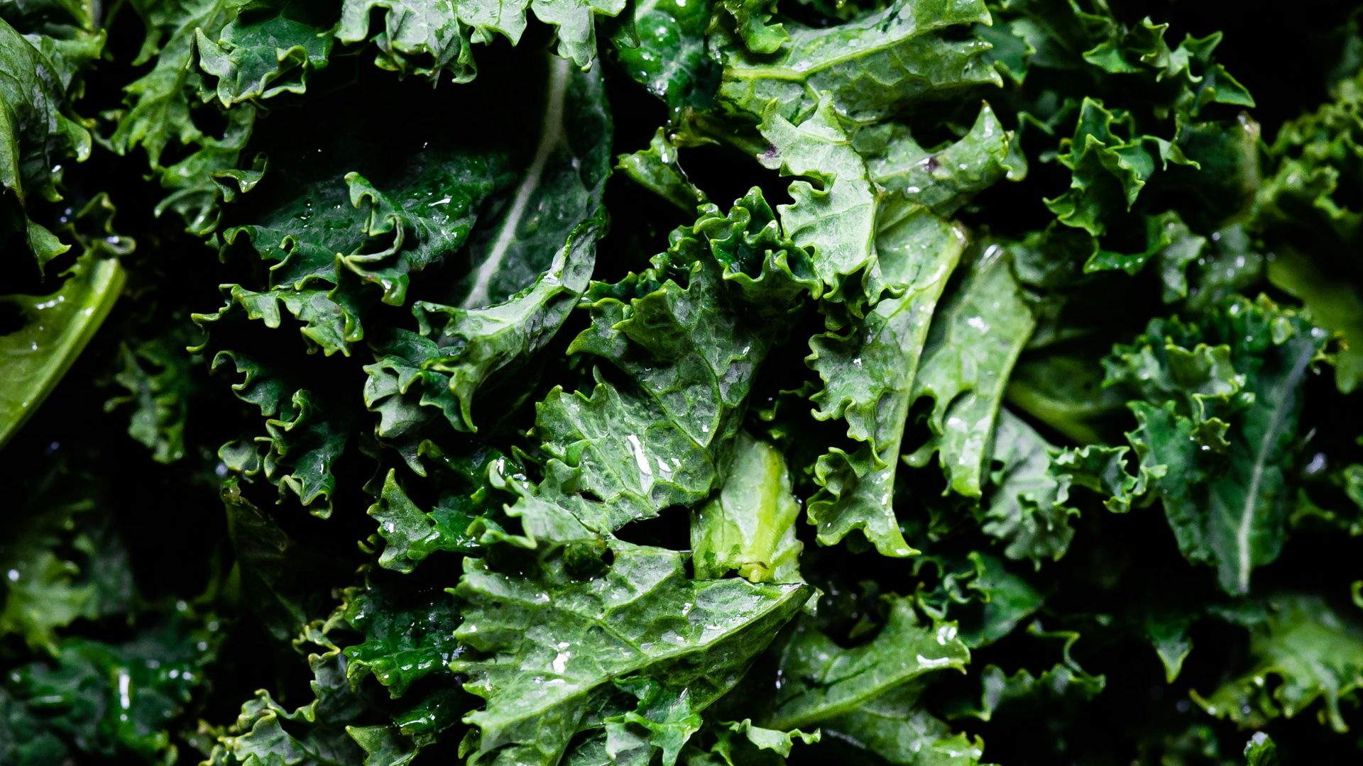 green leaves in macro lens