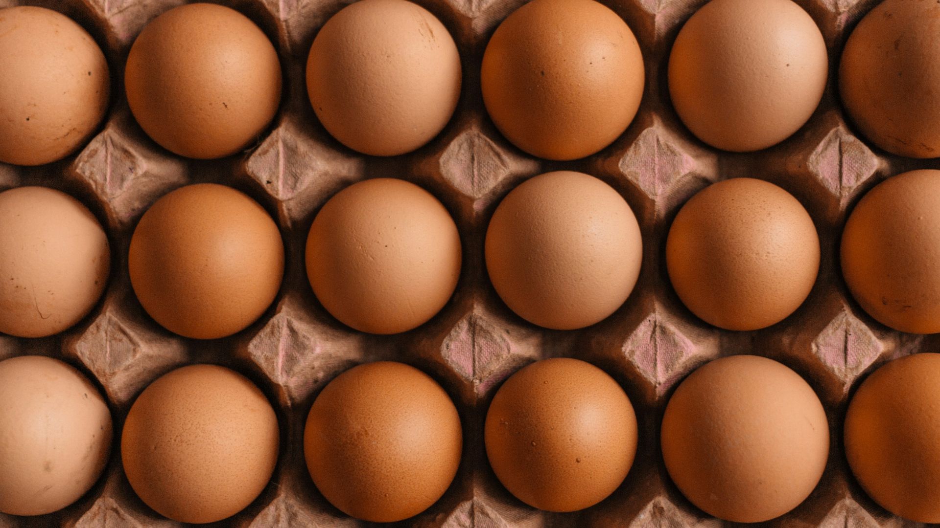 native egg lot
