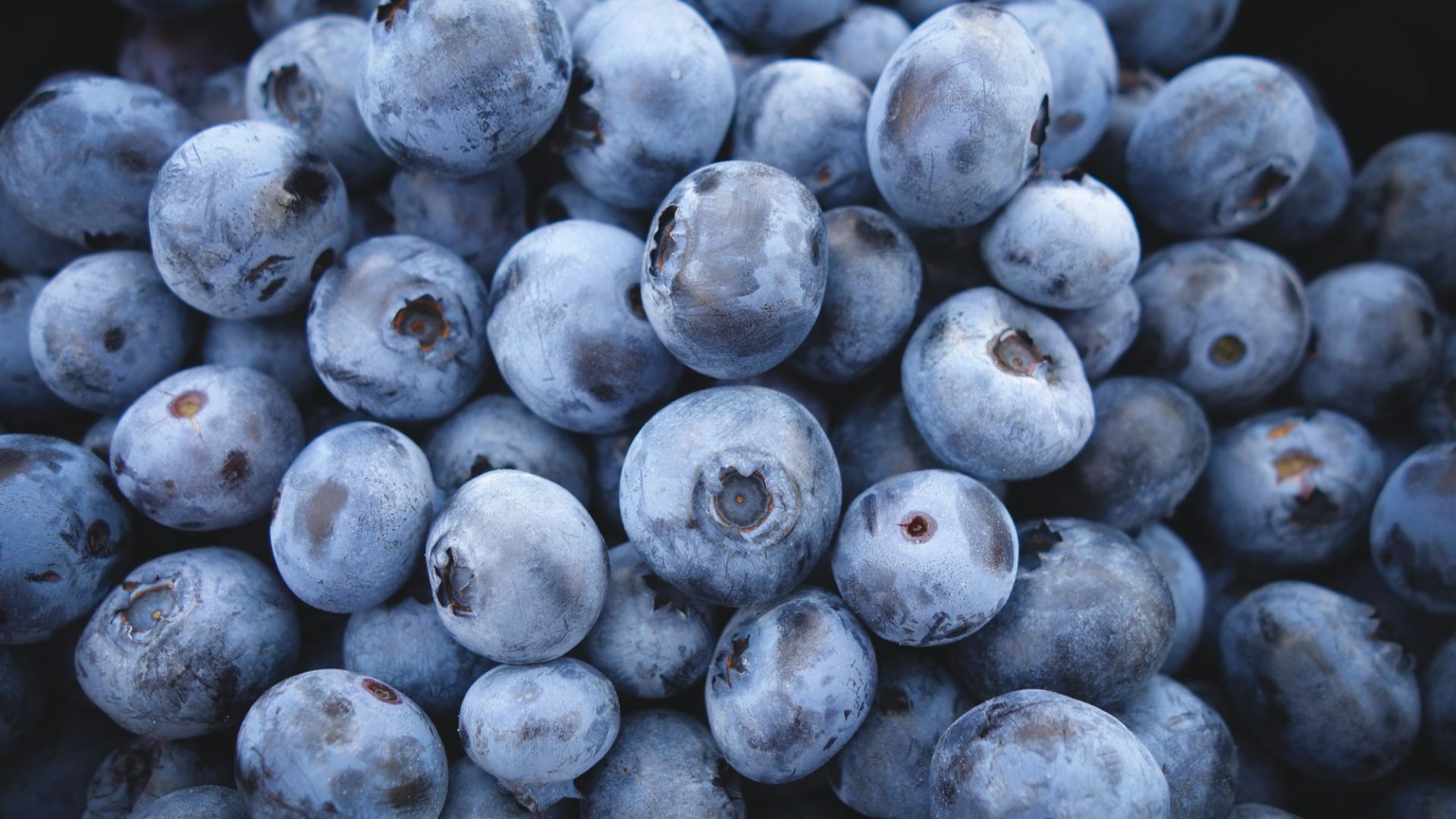 berry lot