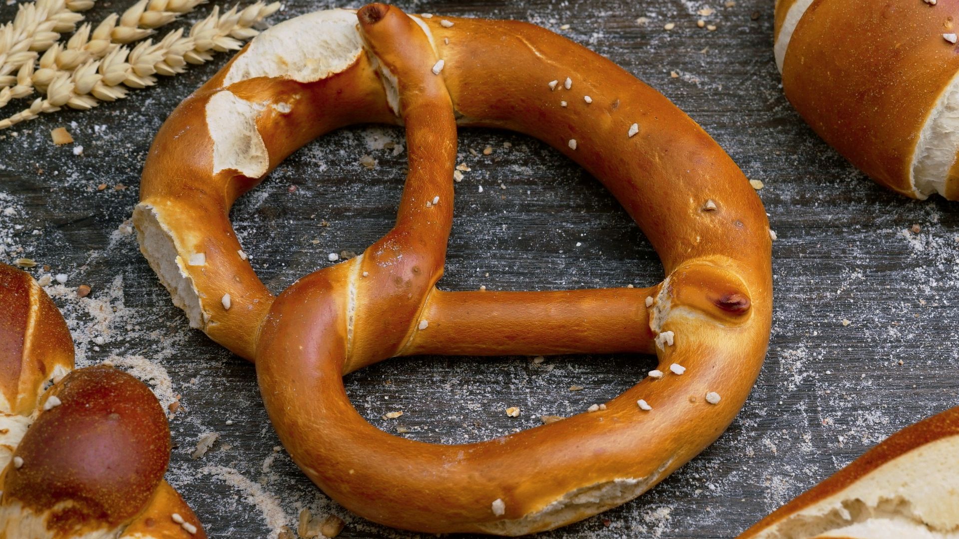 flat lay photography of breads