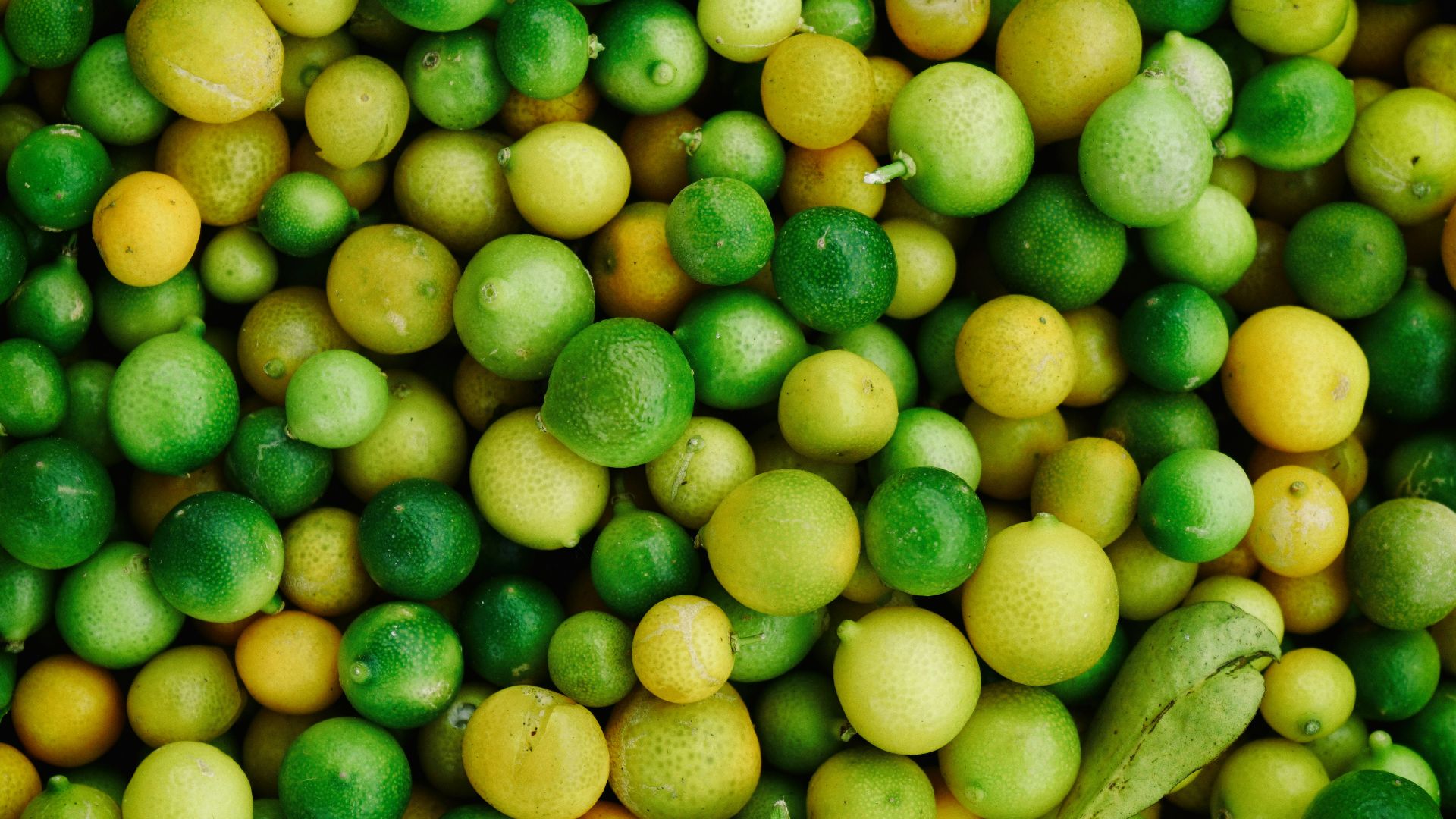 round green and yellow fruit lot