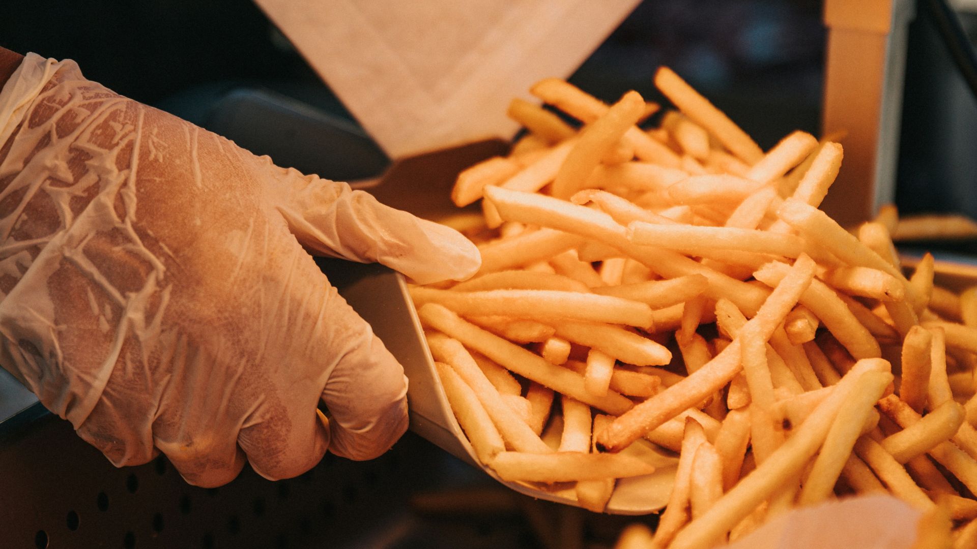 person holding brown wooden stick