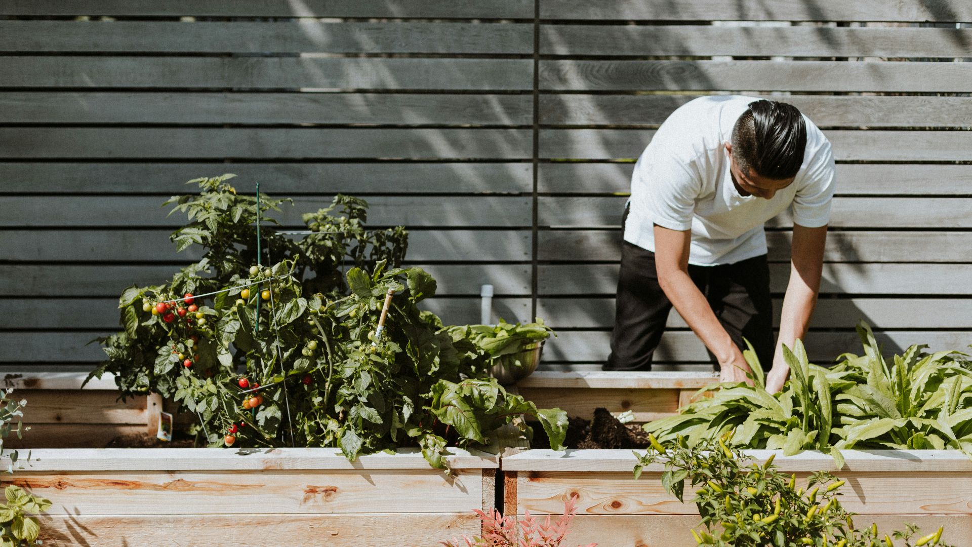 man in white t-shirt and white pants sitting on brown wooden bench