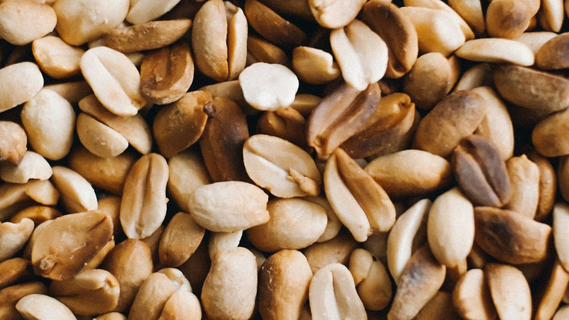 a close up of a pile of seeds