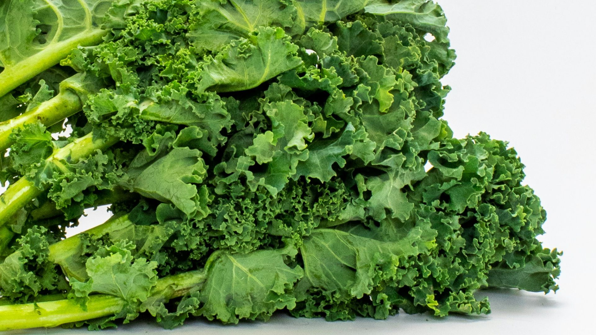 a pile of broccoli sitting on top of a white table