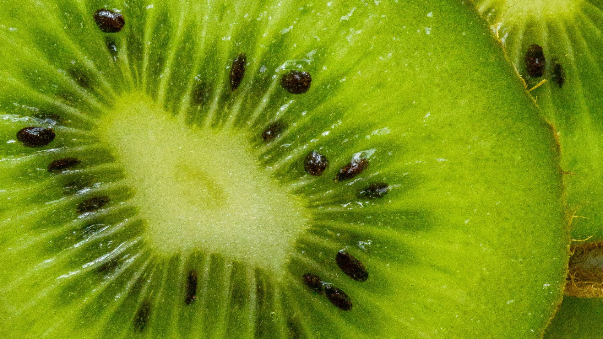 a close up of a kiwi fruit sliced in half