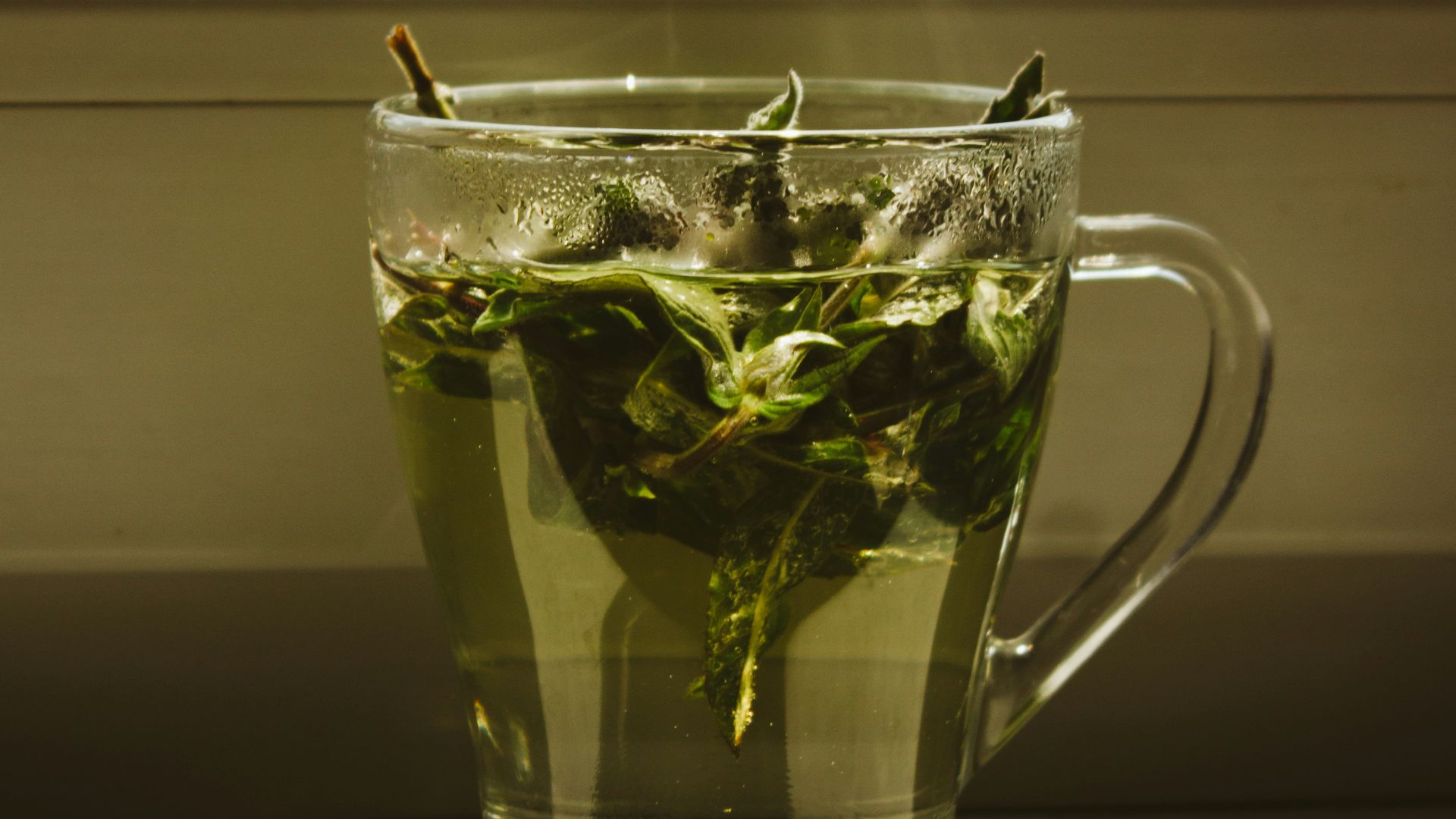 green leaf in clear glass mug