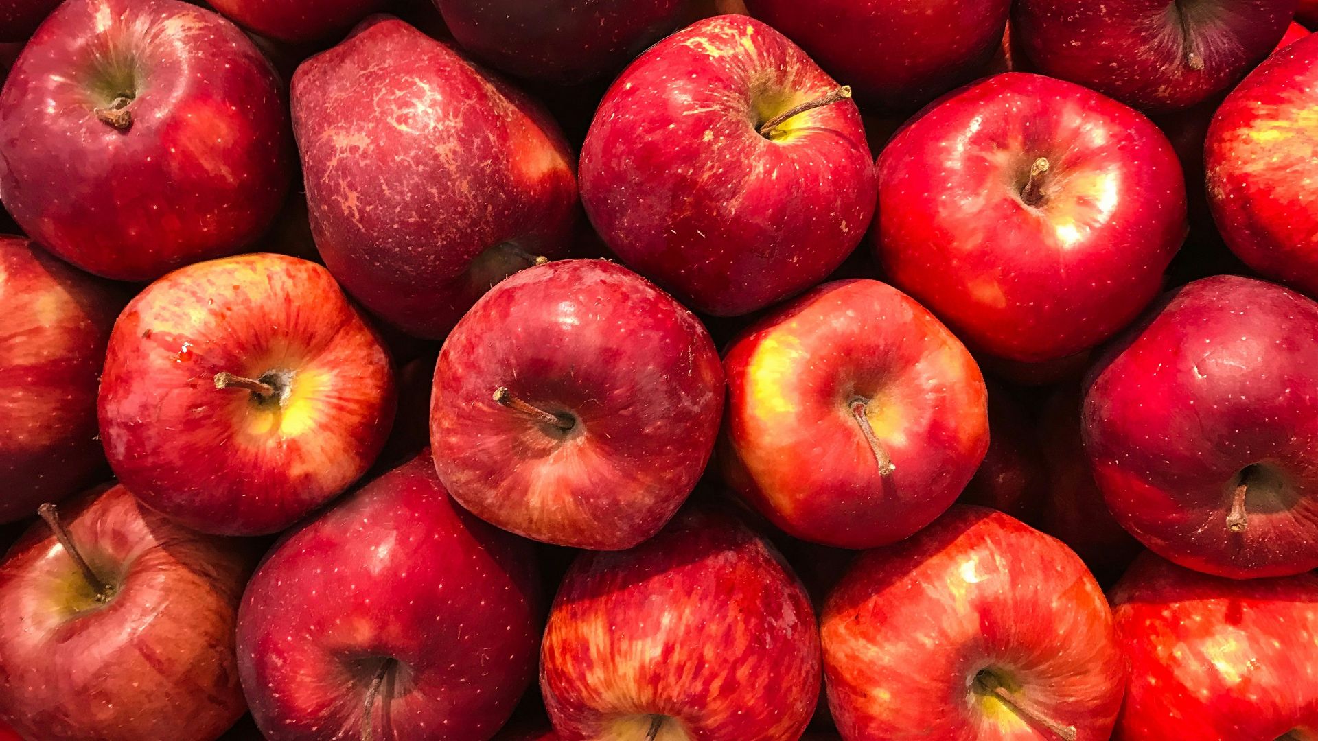 bunch of red apples